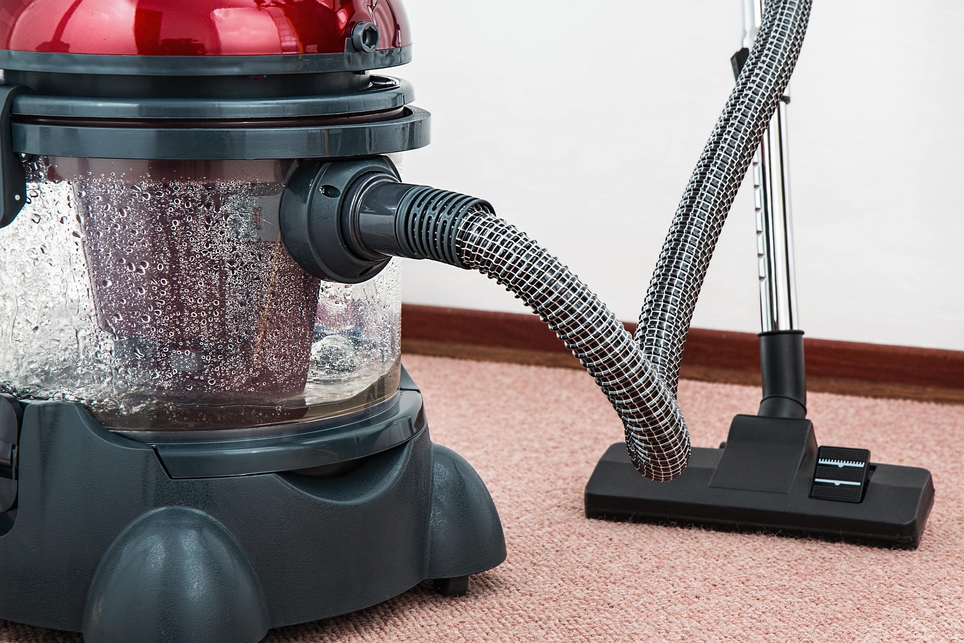 Professional Carpet and Upholstery Cleaning Services